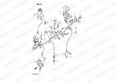 31 - WIRING HARNESS