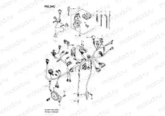 34C - WIRING HARNESS (DL650AK8/AU3K8/AK9/AUEK9/AL0/AUEL0)