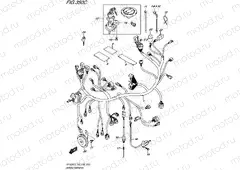 350C - WIRING HARNESS (SFV650L5 E33)