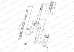 36 - FRONT FORK (AE50L/M/N/P)