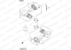 37 - TURNSIGNAL LAMP (SFV650AL3 E28)