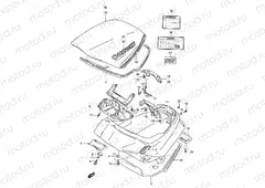 39 - TRUNK (MODEL M)