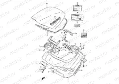 39A - TRUNK (MODEL N)