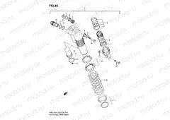 40 - REAR SHOCK ABSORBER