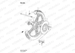 40A - FRONT WHEEL (GN125EV/EW/EX/EY/EK1)