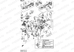 41 - WIRING HARNESS (AN650AL2 E19)
