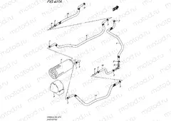 427A - EVAP SYSTEM