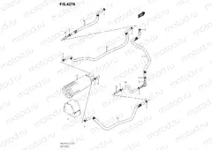427A - EVAP SYSTEM