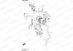 427A - EVAP SYSTEM