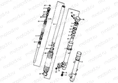 43 - FRONT DAMPER
