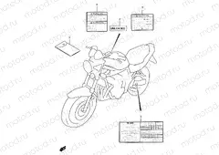 43A - LABEL (MODEL Y)