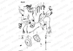 44 - WIRING HARNESS