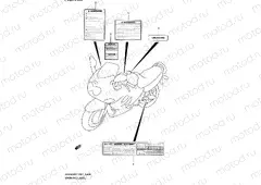 44A - WARNING LABEL (MODEL Y)