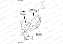 496A - LABEL