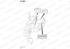 496A - LABEL (P02)