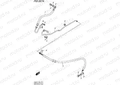 557A - REAR BRAKE HOSE