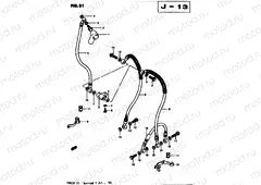 81 - FRONT BRAKE HOSE (E34)