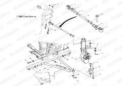 A-ARM/STRUT MOUNTING - A01CG38CA (4963916391B009) | A-ARM/STRUT MOUNTING - A01CG38CA (4963916391B009)
