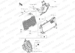 Accessory - Radiator Screen and Cap
