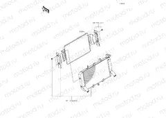 Accessory(Radiator Guard)