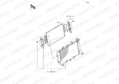Accessory(Radiator Guard)