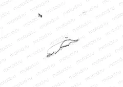 Accessory(Windshield)