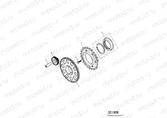 Alternator and Starter Drive