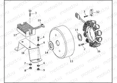 ALTERNATOR & REGULATOR