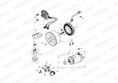 Alternator, Starter