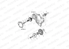 Alternator, Starter Drive Gears