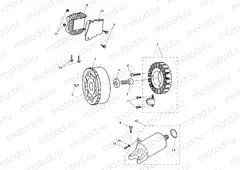Alternator & Starter Motor
