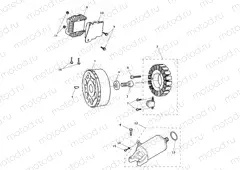 Alternator & Starter Motor