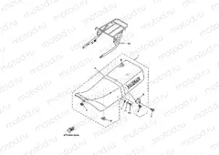 ASIENTO