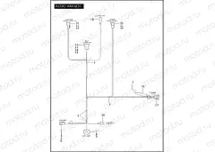 AUDIO HARNESS
