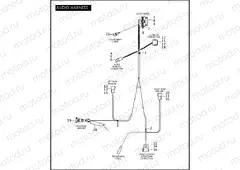 AUDIO HARNESS