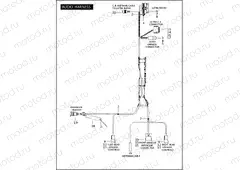 AUDIO HARNESS