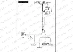 AUDIO HARNESS