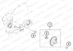 BALANCER SHAFT|Engine|30