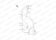 Bilge System