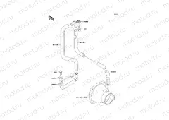 Bilge System