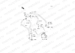 Bilge System