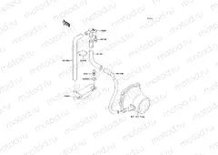 Bilge System