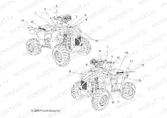 BODY | BODY, DECALS - A09BA50FA (49ATVDECAL09SCRAMI)
