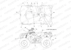 BODY | BODY, DECALS - A09ZN85/8X ALL OPTIONS (49ATVDECAL09SPXP850)