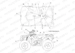 BODY | BODY, DECALS - A10ZX55AL/AT/AX (49ATVDECAL10SPXPEPS550)