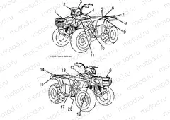 BODY | BODY, DECALS - A12FA09AA (49ATVDECAL09SP90)