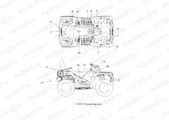 BODY | BODY, DECALS - A13DN8EAF/EAL/EAR (49ATVDECAL13SPTRG850)