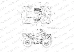 BODY | BODY, DECALS - A13MB46FZ (49ATVDECAL12HAWK)