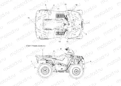 BODY | BODY, DECALS - A13MH76AD/AX/AZ (49ATVDECAL12SP800EFI)