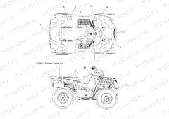 BODY | BODY, DECALS - A13MH76FF (49ATVDECAL12SP800F)